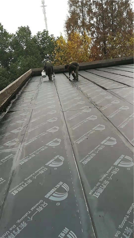 屋顶防水维修